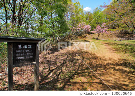 View of Iwadonoyama Castle in Kai Province, Otsuki City, Yamanashi Prefecture 130030646