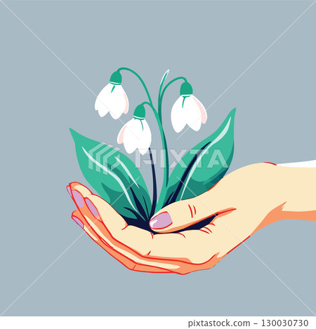 Vsai woman holding delicate snowdrop flowers in open palm Vsai woman holding delicate snowdrop flowers in open palm 130030730