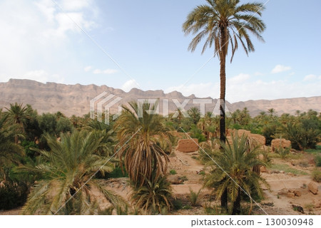 Aerial view of a Oasis in desert, UAE Aerial view of a Oasis in desert, UAE 130030948