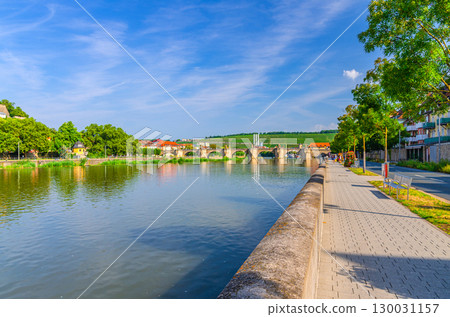 Main river embankment promenade with trees, Old Main Bridge Alte Mainbrucke in Wurzburg old town, green vineyards on hill in sunny day, Wurzburg city historical center Mitte, Bavaria state, Germany 130031157