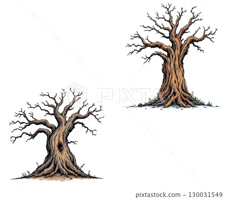 Vsai two bare trees standing strong, showing resilience in a barren landscape 130031549
