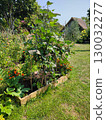 Lush vegetable garden featuring climbing plants and vibrant flowers, showcasing a thriving ecosystem in a sunny outdoor setting 130032277
