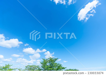 Blue sky, clouds and grove Blue sky, clouds and grove 130033874