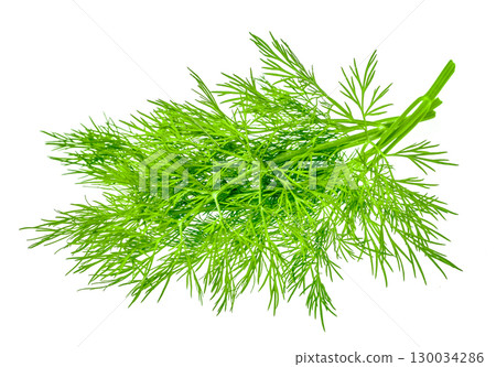 Fresh dill bunch isolated on white background 130034286