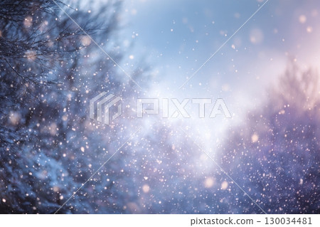 Blurred winter forest with falling snow. Snowfall many dust freeze granules. Blur bokeh snowy backdrop with pine trees. Christmas poster, banner. Dreamy, foggy blue purple sky, orange sun rays light Blurred winter forest with falling snow. Snowfall many dust freeze granules. Blur bokeh snowy backdrop with pine trees. Christmas poster, banner. Dreamy, foggy blue purple sky, orange sun rays light 130034481