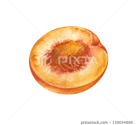Half a peach, hand-drawn. Watercolor illustration isolated on a white background. A botanical drawing of a piece of ripe fruit. For the design of fruit lines and healthy food 130034806