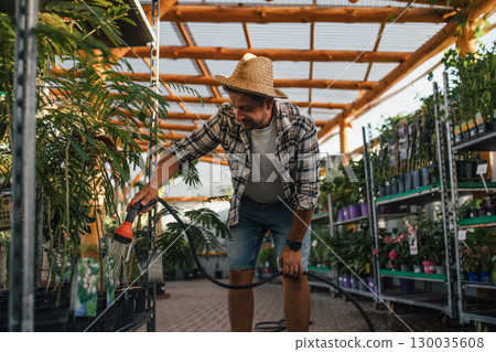 Florist caring for plants, watering them with garden hose in garden centre. Florist caring for plants, watering them with garden hose in garden centre. 130035608
