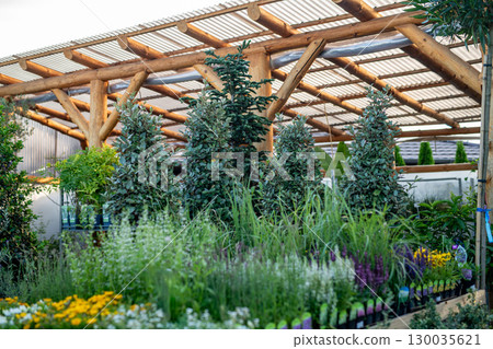 Garden store greenhouse with organized flower displays. 130035621