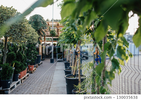 Garden store greenhouse with organized flower displays. Garden store greenhouse with organized flower displays. 130035638