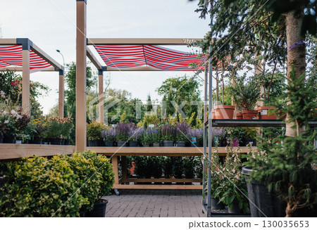 Garden store greenhouse with organized flower displays. 130035653