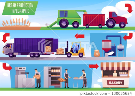 Bread production process vector infographic, combine harvests wheat fields, manufacture machine on factory, Bakery shop Bread production process vector infographic, combine harvests wheat fields, manufacture machine on factory, Bakery shop 130035684