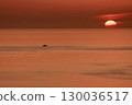 Sunset 130036517