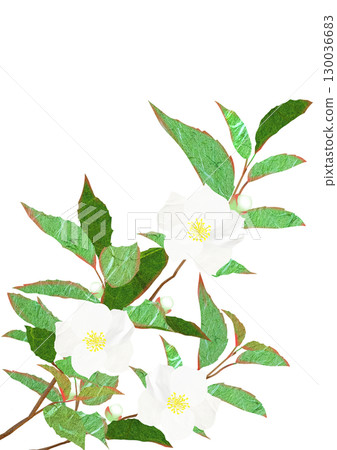 莎拉植物的拼貼畫和剪紙插圖 130036683