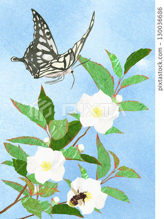 A cut-out and collage illustration of insects and flowers gathering on a plant, Shalala tree, with background 130036686