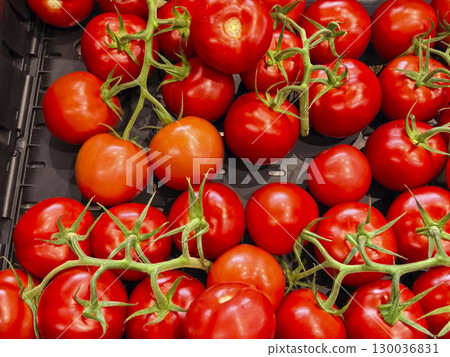 Freshly harvested red tomatoes gathered in a basket at a local farm market 130036831