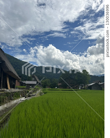 岐阜縣白川鄉 岐阜縣白川鄉 130036996