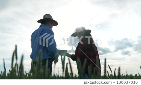 Farmers Discussing Future Plans, Rural People in Wheat Field, Agriculture Consultation Outdoors, Farm Work Planning, Man and Woman Farmers Talking, Countryside Crop Management, Modern Agriculture 130037030