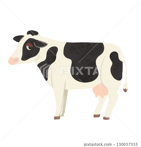 Black and white dairy cow watercolor hand-drawn illustration 130037333