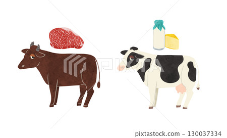 Beef and dairy cattle, marbled meat and dairy products, watercolor hand-drawn illustration 130037334