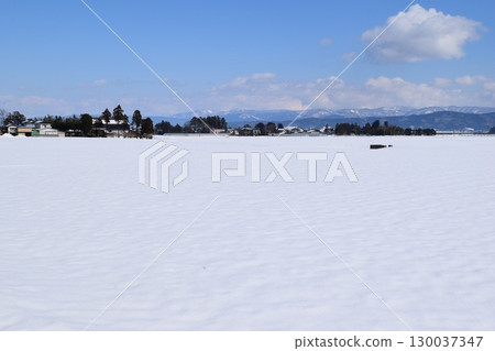 山形縣莊內雪國的田園風光 130037347