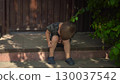 a little boy sits on the porch on a hot summer day in close up he touches his scraped knee with his finger wearing a t shirt and shorts 130037542
