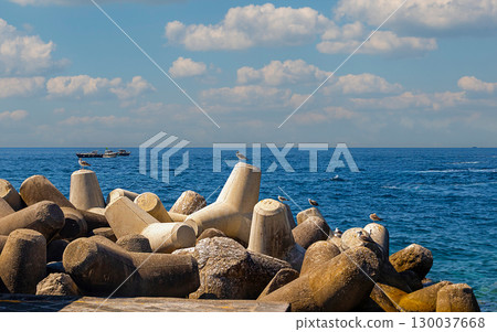 Concrete tetrapods on sea port 130037668