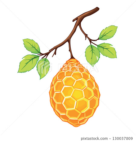 Honeycomb hanging from tree branch with green leaves 130037809