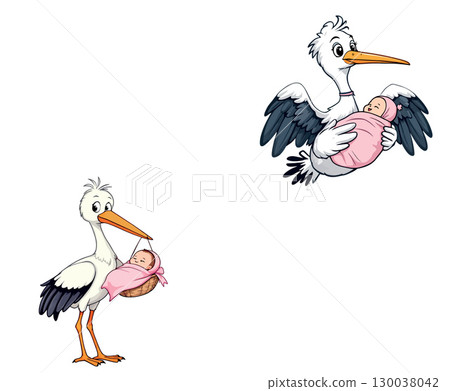 Two happy storks delivering newborn babies, one flying and one standing Two happy storks delivering newborn babies, one flying and one standing 130038042