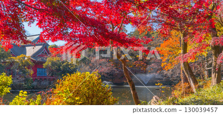 井之頭公園的秋景（東京吉祥寺） 130039457