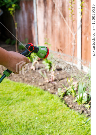 Male hand with hose and water jet watering the garden 130039539