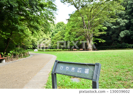 夏日凜子之森公園 130039602