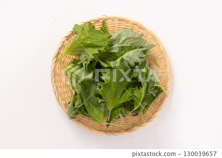 不規則紫蘇葉 130039657