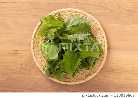 不規則紫蘇葉 130039662