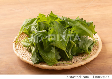 不規則紫蘇葉 不規則紫蘇葉 130039663