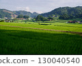 Connecting Rice Terrace Heritage: Hiwa Mikawa's Rice Terraces in Summer, Hiwacho, Shobara City, Hiroshima Prefecture 130040540