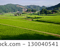 Connecting Rice Terrace Heritage: Hiwa Mikawa's Rice Terraces in Summer, Hiwacho, Shobara City, Hiroshima Prefecture 130040541