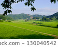 Connecting Rice Terrace Heritage: Hiwa Mikawa's Rice Terraces in Summer, Hiwacho, Shobara City, Hiroshima Prefecture 130040542