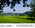 Connecting Rice Terrace Heritage: Hiwa Mikawa's Rice Terraces in Summer, Hiwacho, Shobara City, Hiroshima Prefecture 130040543