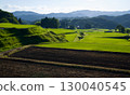 Connecting Rice Terrace Heritage: Hiwa Mikawa's Rice Terraces in Summer, Hiwacho, Shobara City, Hiroshima Prefecture 130040545