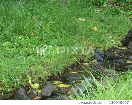 Artificial stream Artificial stream 130040697