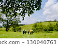 Mt. Azuma, summer grassland, hiking, back view 130040763