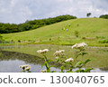 Mt. Azuma, Summer Grassland, Hill, Pond, Four-Leafed Brown-eared Bulbul, Hiking Scenery 130040765