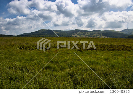 長野縣下諏訪町屋島濕原（屋島原濕原）的夏天 130040835