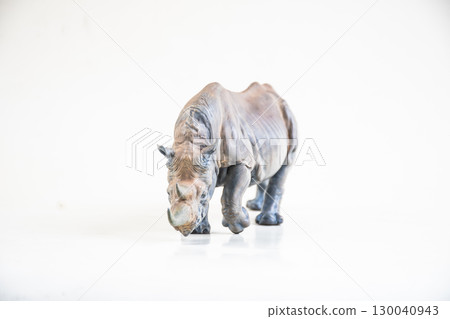 black rhino  on isolated background 130040943