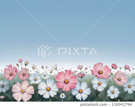 Illustration of cosmos shining against the blue autumn sky Illustration of cosmos shining against the blue autumn sky 130041794