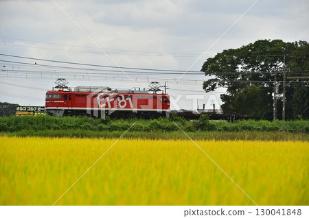 EF81型電力機車 130041848
