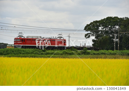 Electric locomotive EF81 130041849