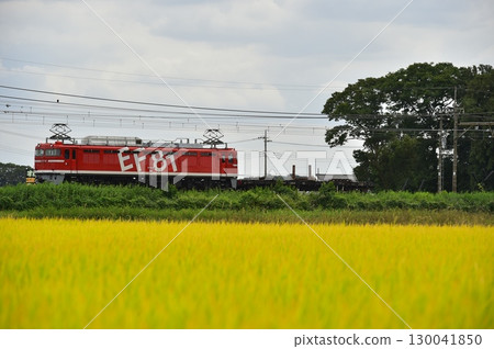 EF81型電力機車 130041850