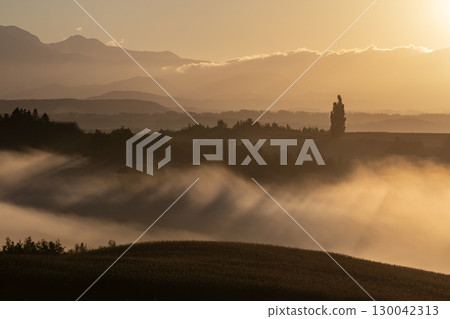 晨霧之地的奇幻風景 130042313