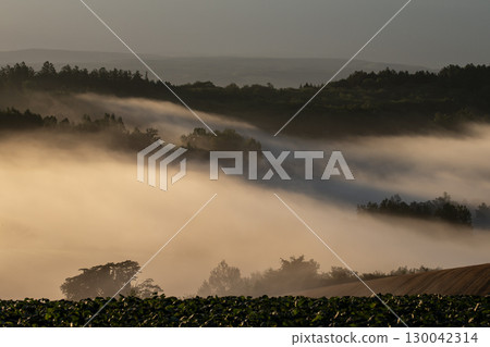 Fantasy Landscape of the Land of Morning Mist 130042314
